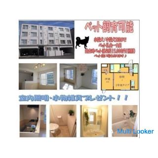 Wer zuerst kommt, mahlt zuerst! Es gibt eine freie Stelle in einer beliebten Immobilie! Parkplatz vo