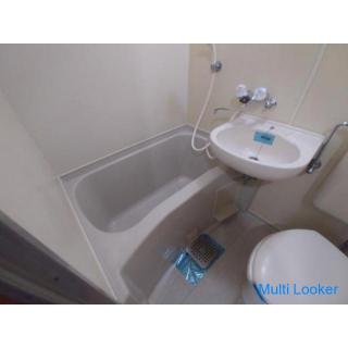 Haustiere sind erlaubt. (Nur eine Katze). Wenn Sie diesen Monat einen Vertrag haben, können Sie mit 