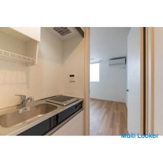 LINE ist auch zum Jahresende und in den Neujahrsferien verfügbar (Seibu Ikebukuro / Toshima Line, 10