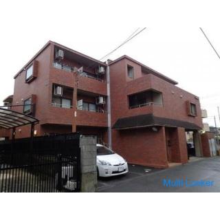 Kostenlose Internetnutzung. Haustiere sind erlaubt. Eigentum mit Möbeln und Geräten. 45.000 Yen für