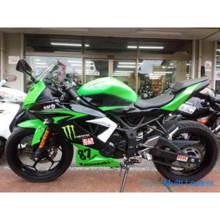 Kawasaki Ninja 250SL Yoshimura R-11 Schalldämpfer Lime Green & Black