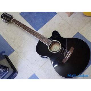 Sepia Crue Eleaco E-Akustikgitarre EAW-200 / BKS Verwendete Musikinstrumente