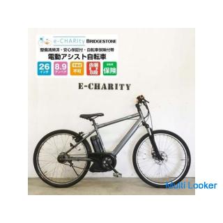 E-Bike Sports BRIDGESTONE Real Stream Grau 26 Zoll 8,9 Ah Innenraum 8-Gang!