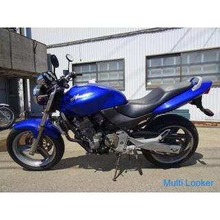 HONDA HORNET 250 blau