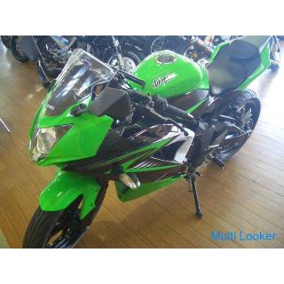 Kawasaki Ninja 250SL (grün / schwarz)