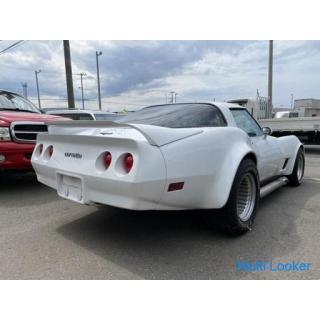 1981 Chevrolet C3 Corvette Stingray FRP Produktionszustand gutes Fahrzeug!