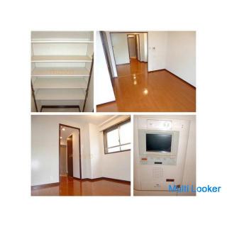 Wie wäre es mit dem Süden von Nishinakajima?