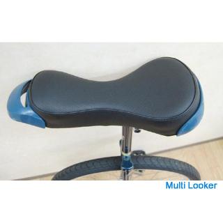 BRIDGESTONE Einrad SPN-24 Spins 24 Größe Japan Unicycle Association zertifiziertes Produkt