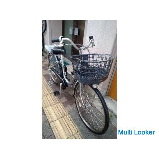 BRIDGESTONE Assista 26 Zoll Electric Assist Fahrrad (neu) 12,3 Ah Batterie + (neu) Ladegerät / Spark