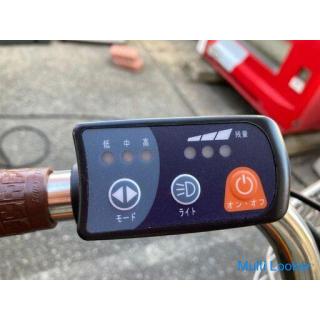 24 Zoll elektrisch unterstütztes Fahrradklappen