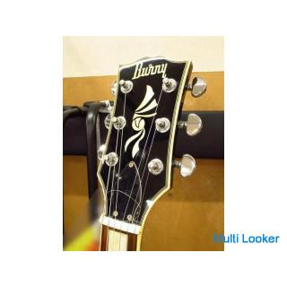 Burny E-Gitarre RLC-50JS Gebrauchtwaren G-840