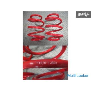 NISMO E52 Elgrand Suspension Stoßdämpfer 1 Einheit Sofortige Lieferung TE52 TNE52 PE52 PNE52 Regal C