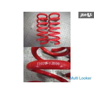 NISMO E52 Elgrand Suspension Stoßdämpfer 1 Einheit Sofortige Lieferung TE52 TNE52 PE52 PNE52 Regal C