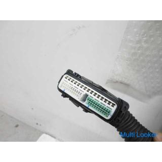 2012 Nissan Elgrand TE52 rechte vordere Türverkleidung