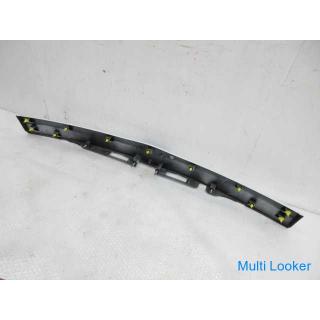 2010 Toyota Prius ZVW30 Hintertürgarnitur