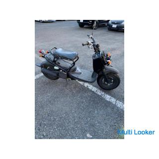 Honda Zoomer Günstige Ausstellung nach langer Zeit! ️‼ ️