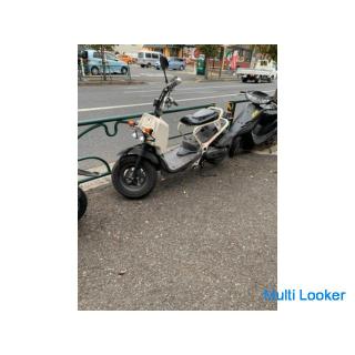 Honda Zoomer ist schon lange auf Lager!