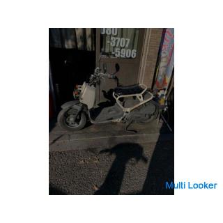 Honda Zoomer ist schon lange auf Lager!