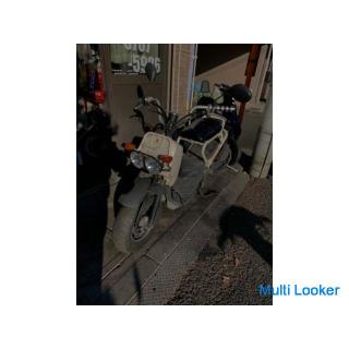 Honda Zoomer ist schon lange auf Lager!