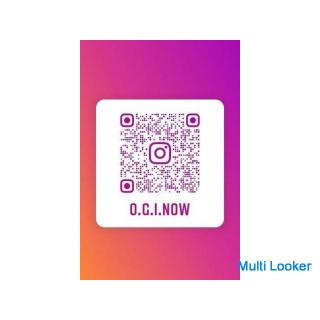 Holzfahrrad Faltrad / Klappbrett