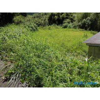 Miyanoura-cho, Stadt Kagoshima [Verkaufsland] Ungefähr 482ｍ2 entlang des Baches Ackerland 1 Million 