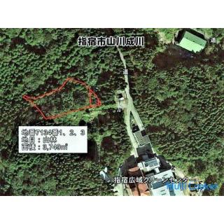 Yamagawanarikawa, Ibusuki City [Land] Wald am Ibusuki Narukawa Tunnel 1,4 Millionen Yen