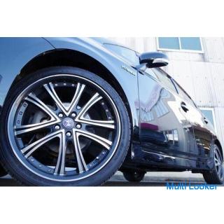 Apropos HV ... 30 Prius ★ Lass es uns während der Kampagne bekommen ヾ (o´∀｀o) ﾉ