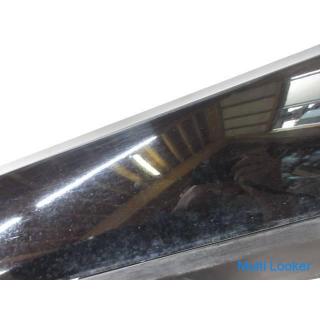 2013 BMW X1 E84 VL20 Rechte Trittstufe