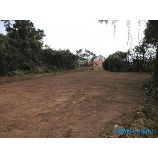 Kasedatojinbara, Minamisatsuma City [Geteiltes Land] Ebenes flaches Land 99 Tsubo 2 Millionen Yen * 