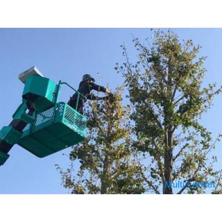 Wir kümmern uns um den Garten des leer stehenden Hauses der Schulwohnung (Tokorozawa City, Saitama C