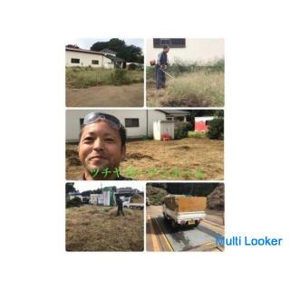 Jäten * Rasen mähen * Gras mähen Gartenpflege [Tokorozawa Stadt Sayama Stadt Iruma Stadt Kiyose Stad