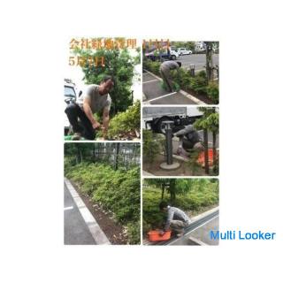 Jäten * Rasen mähen * Gras mähen Gartenpflege [Tokorozawa Stadt Sayama Stadt Iruma Stadt Kiyose Stad