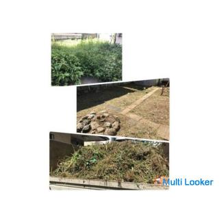 Jäten * Rasen mähen * Gras mähen Gartenpflege [Tokorozawa Stadt Sayama Stadt Iruma Stadt Kiyose Stad