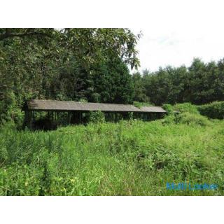 Kirishimataguchi, Kirishima City [Land mit Gebäude] 3 Gebäude + Wald mit Hühnerhaus Ungefähr 398 Tsu