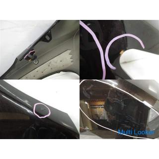 2015 Nissan Elgrand HWS PE52 rechter Kotflügel