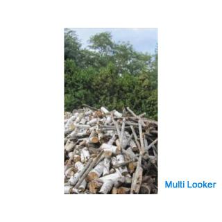 Baumwurzeln, Wurzelentfernung! Bäume fällen! Kostenlose Sammlung von Baumstämmen! (Willkommen zum Ei