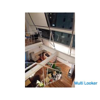 Es gibt eine freie Stelle im Wohngemeinschaftshaus in der modischen Stadt Roppongi!