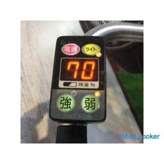 Elektrofahrrad Kleines Rad Fahrrad YAMAHA PAS Zion U Ethnisch Rot 20 Zoll Batterie mit großer Kapazi