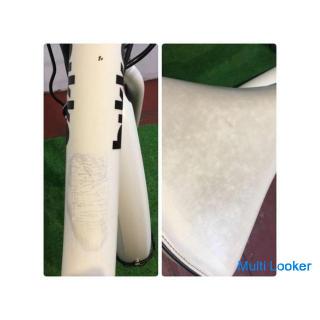 Elektrofahrrad 2017 BRIDGESTONE BIKEMOB e E.XBK Weißer 20-Zoll-Akku mit großer Kapazität, 12AH, 3-Si