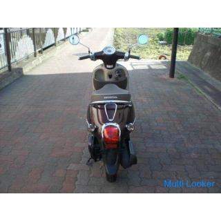 Honda AF70 Giorno Fi Brown mit 2 Schlüsseln Batterie / Riemen / Stecker usw. Neu ersetzt