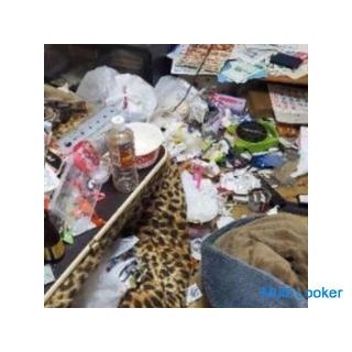 [Sonderreinigung, Aufräumen des gesamten Müllhauses, Säubern von schmutzigen Räumen usw.] [Lebenserh