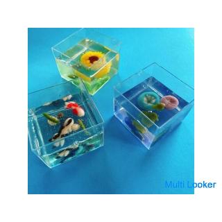 Japanische Süßigkeiten herstellen, um die Jahreszeiten zu genießen ~ Süße Kunst mit kühlem Wasser ~