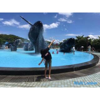 Unterricht tagsüber an Wochentagen (Prüfung, schulischer Ergänzungsunterricht, Schulverweigerung, En