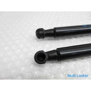 2014 BMW X1 E84 VL20 Motorhaube Stoßdämpfer