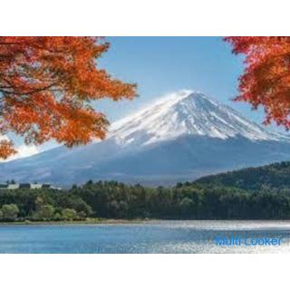 Keine Kündigung oder Insolvenz! Ein Klassenzimmer, das sich unabhängig öffnet, frei arbeitet und ein