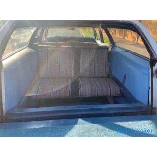 1967 Chevy Caprice Wagon Woody