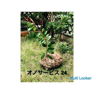 Wir werden 24 Stunden am Tag Schädlinge und Tiere ausrotten und fangen!