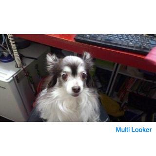 Psychologische Beratung