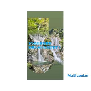 40er / 50er Picknick-Ehe / Kobe Nunobiki Wasserfall / Ichigahara