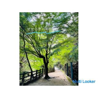 40er / 50er Picknick-Ehe / Kobe Nunobiki Wasserfall / Ichigahara